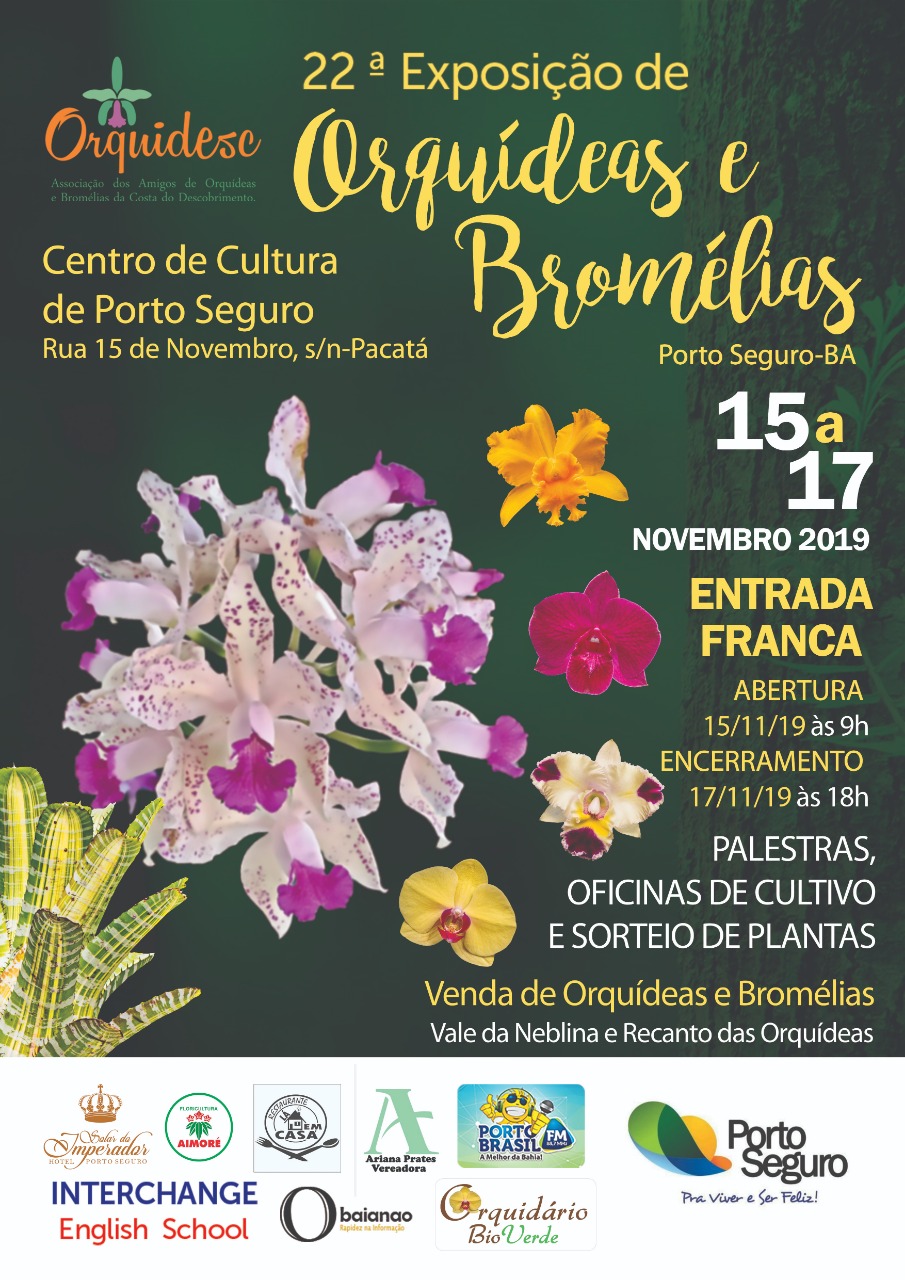 Cartaz   Centro de Cultura - Rua XV de Novembro - Paquet, Do dia 15 ao dia 17/11/2019