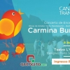 panfleto Concerto Final Academia Canto em Trancoso