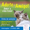 panfleto Feira de adoo Ces e Gatos