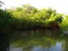 Praia dos Nativos - Trancoso