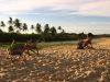 Praia dos Nativos - Trancoso